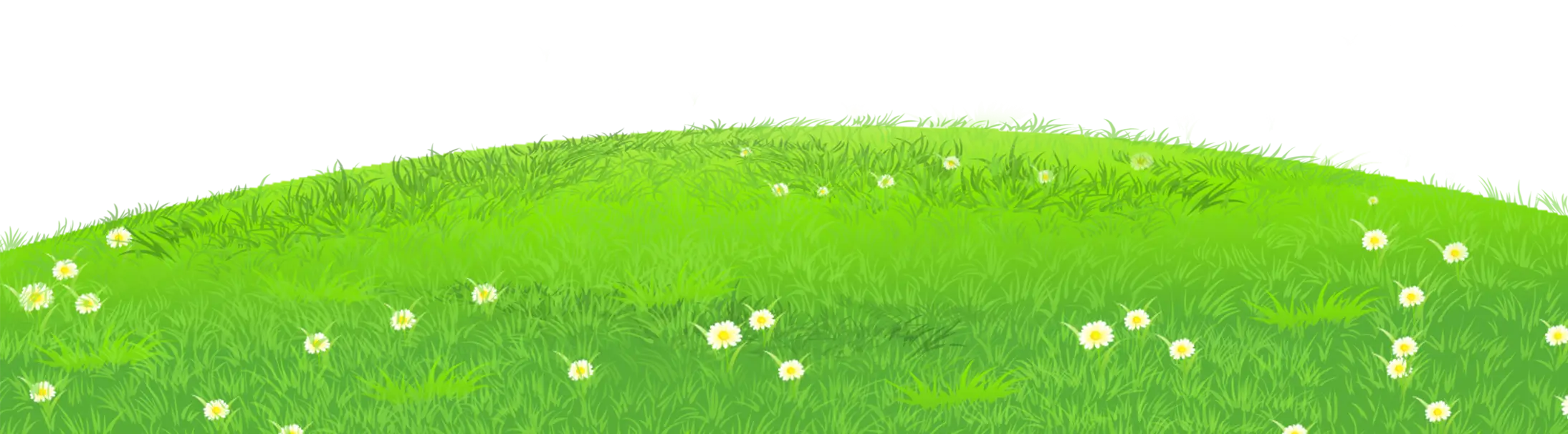 Green Grassy Hill with Flowers