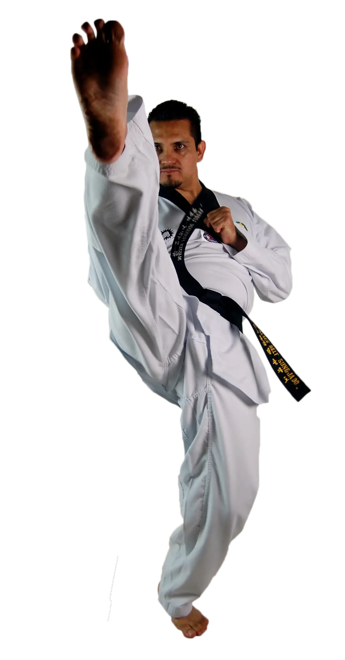 Taekwondo High Kick Martial Arts Style