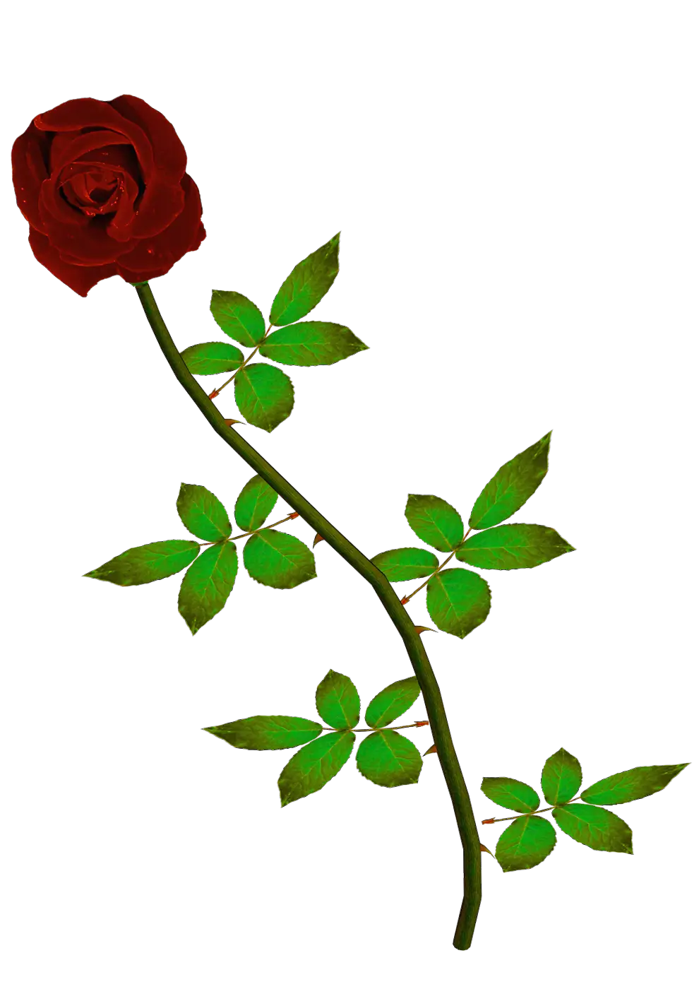 Red Rose with Green Leaves