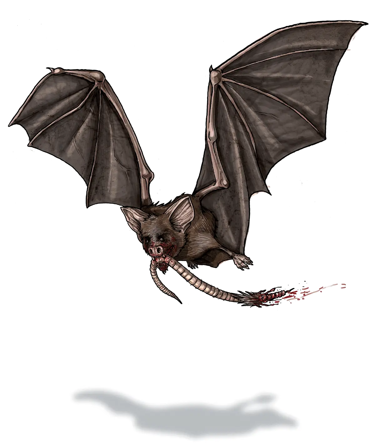 Flying Bat with Detailed Wings