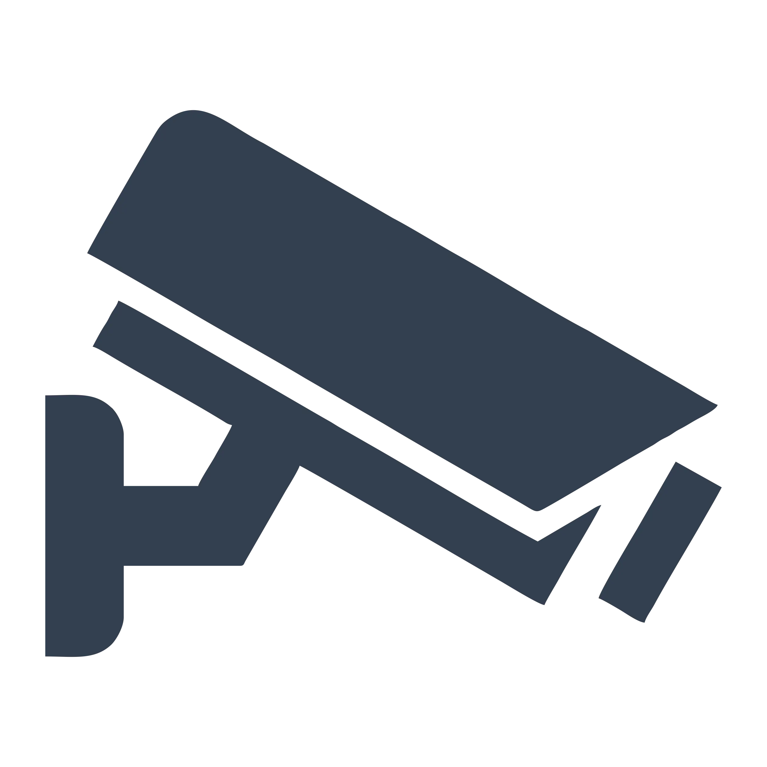 Surveillance Camera Icon for Security