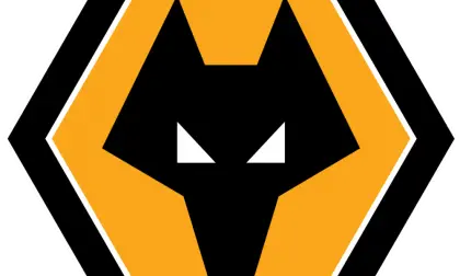 Wolf Logo Emblem