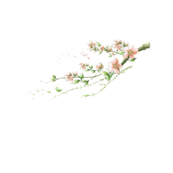 Flowering Branch in Spring