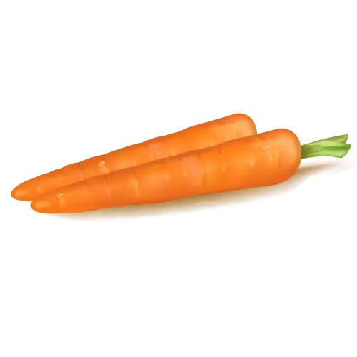 Fresh and Healthy Orange Carrots