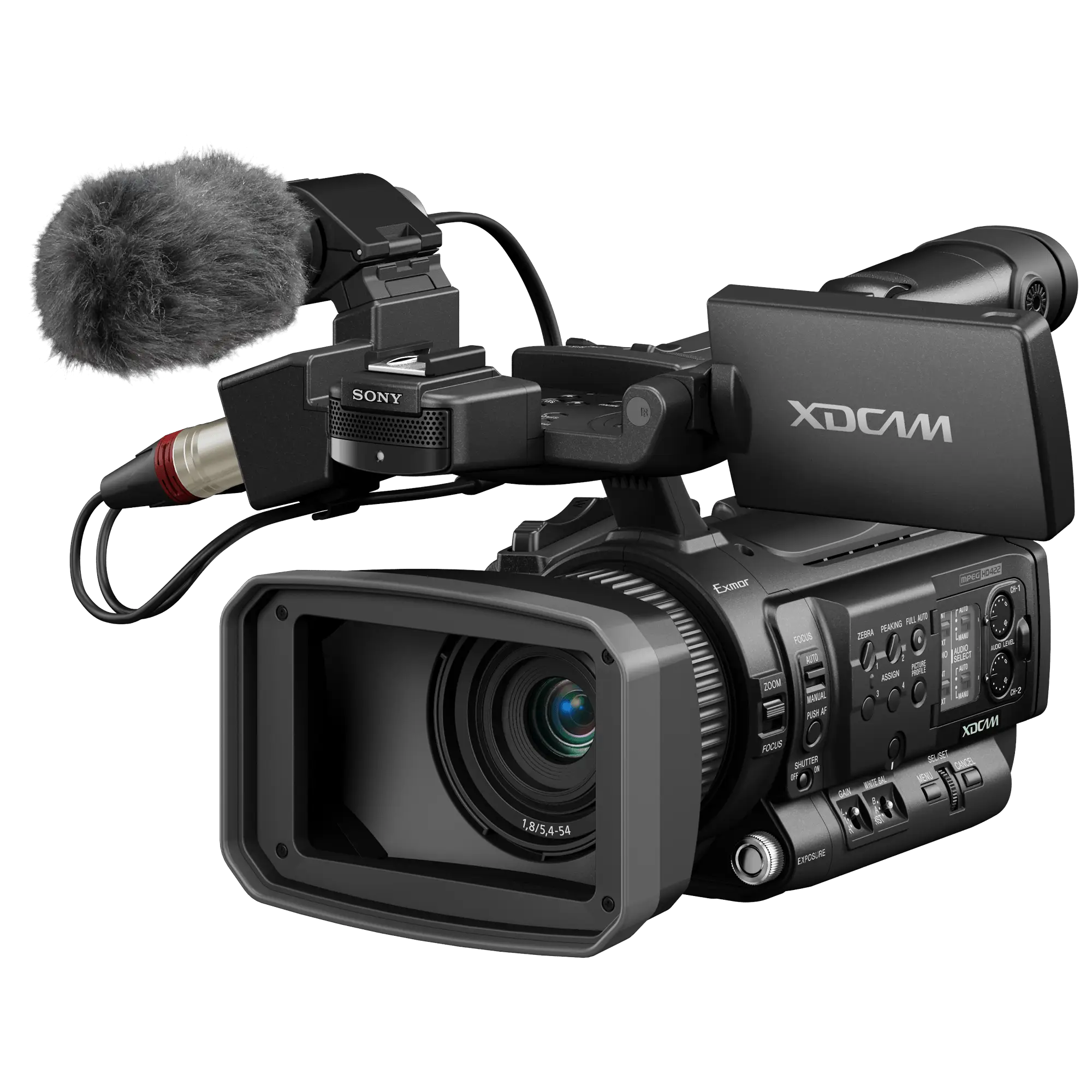 Professional Video Camera with Microphone