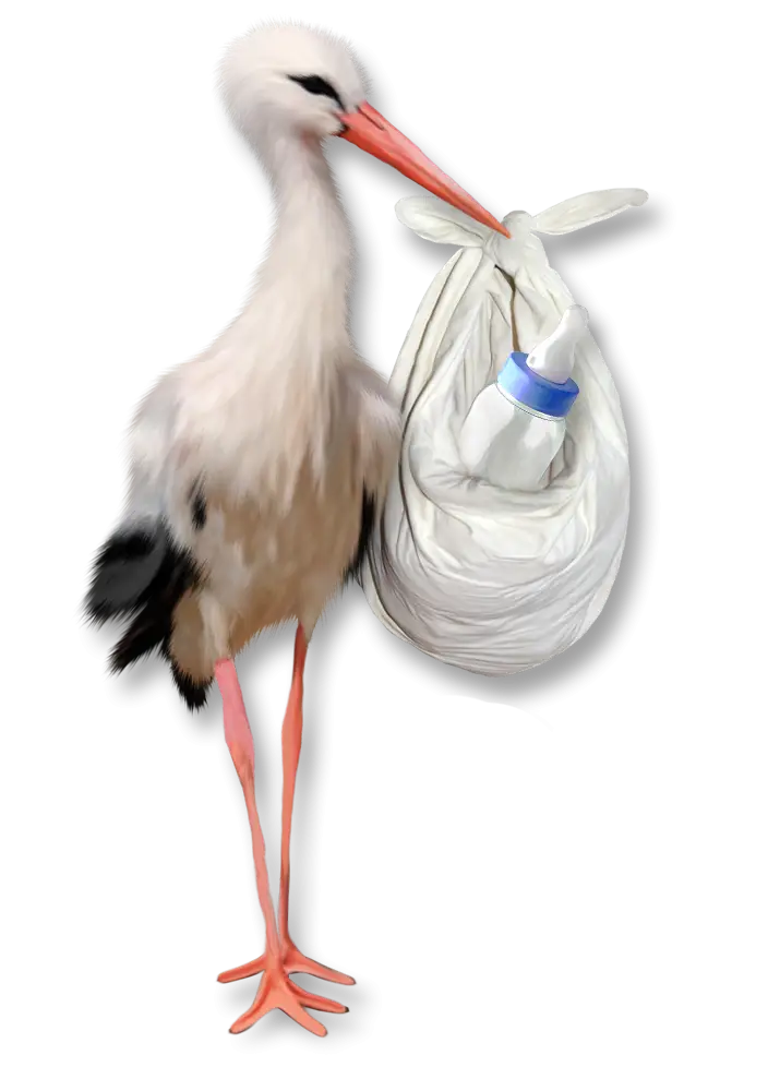 Stork with Baby Bundle Illustration