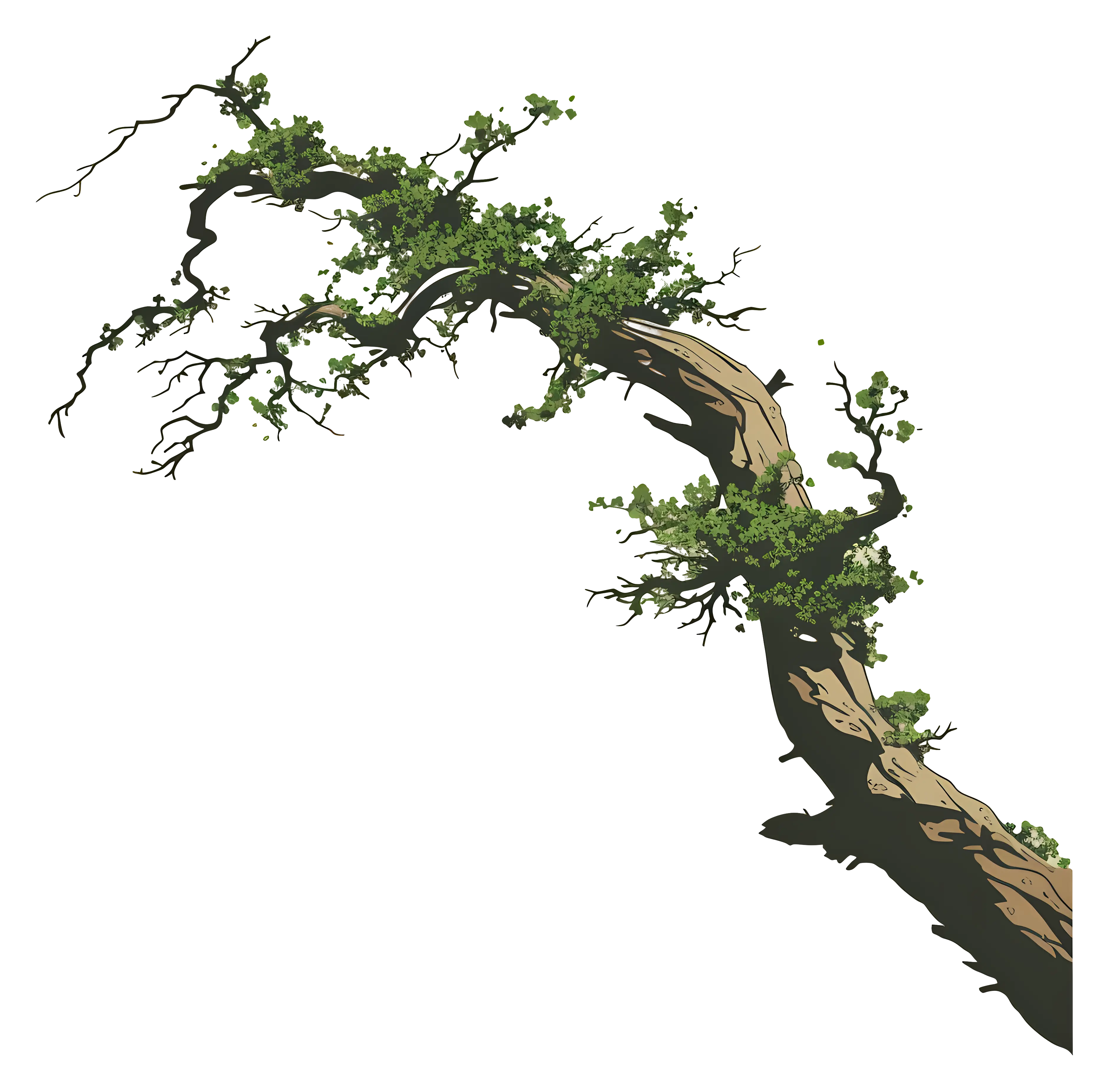 Long Curved Tree Branch with Leafy Green Details