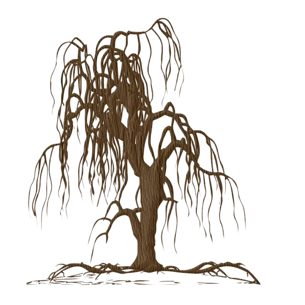 Brown Willow Tree with Drooping Branches