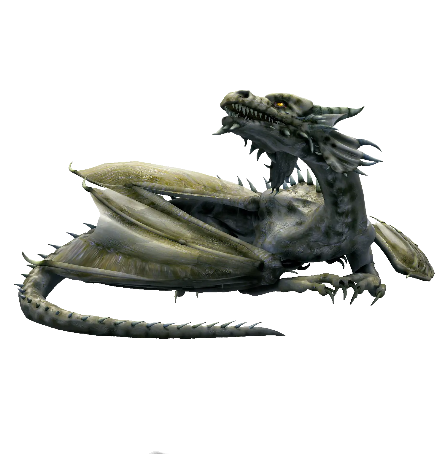 Black Dragon Illustration