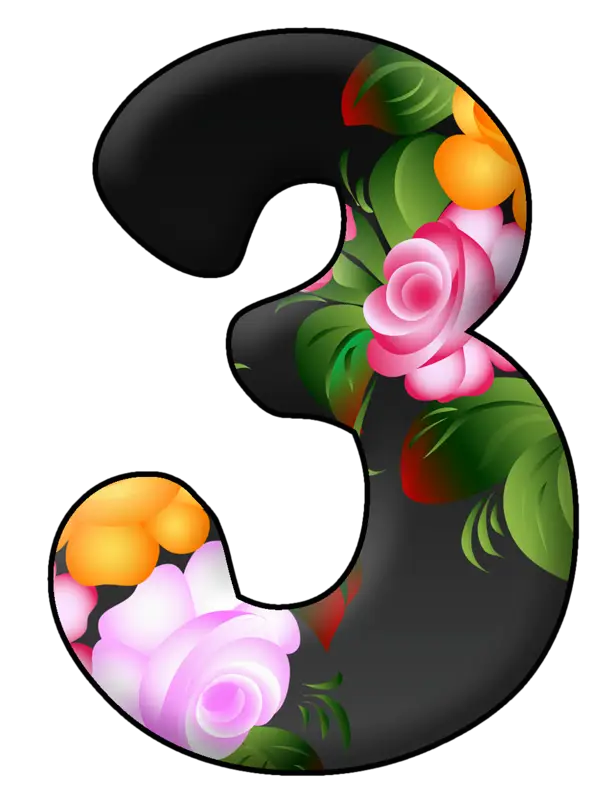 Decorated Number Three Illustration with Floral Design
