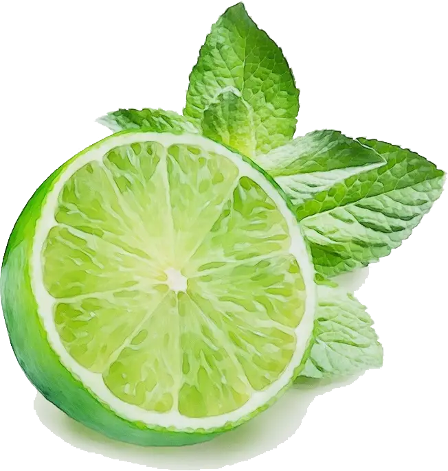Fresh Lime with Mint Leaves