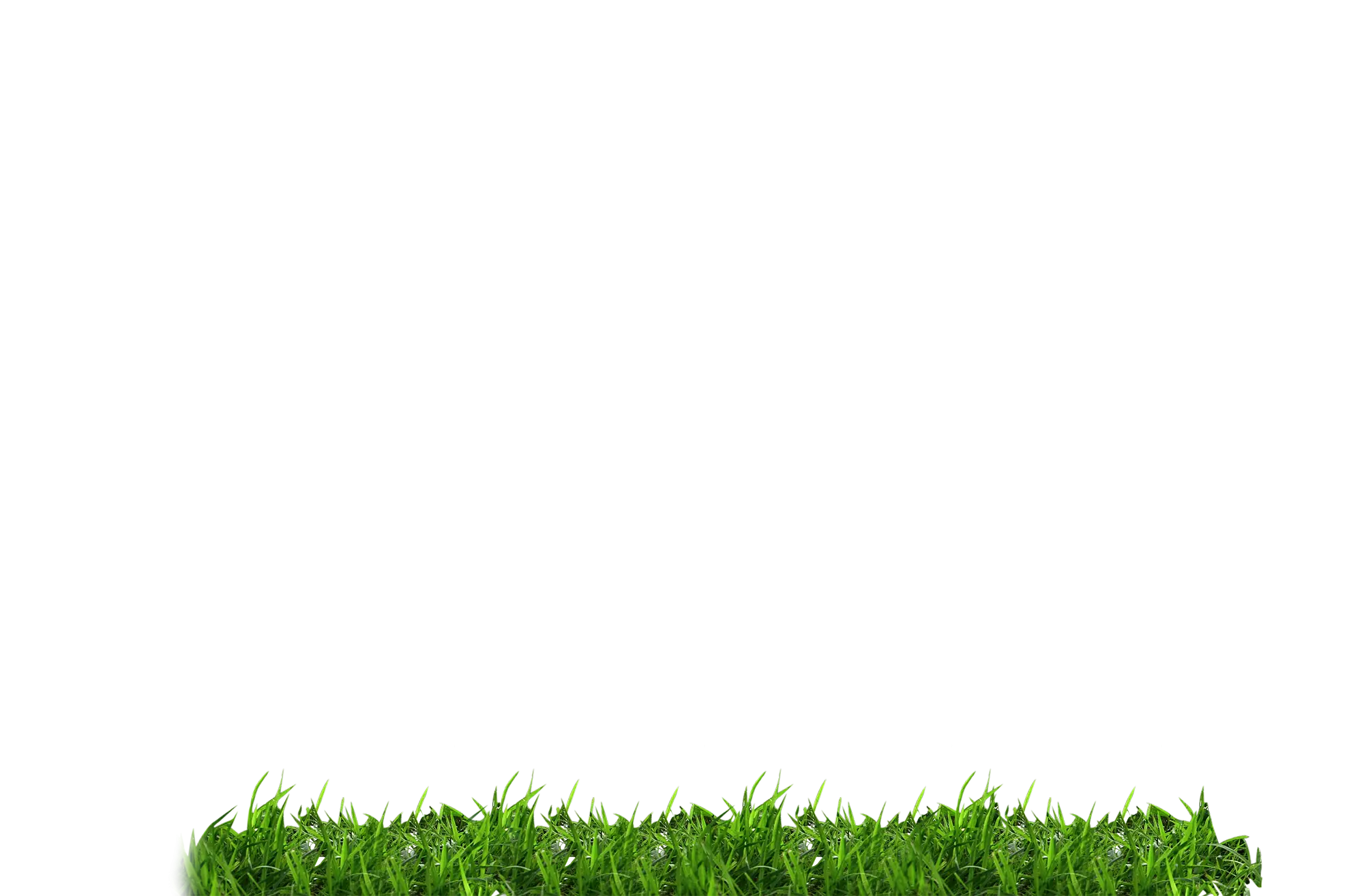 Green Grass Patch