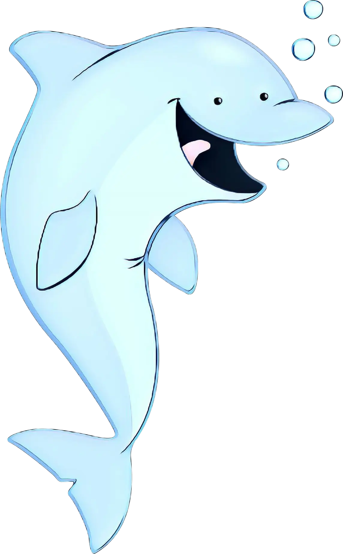 Cartoon Dolphin Illustration