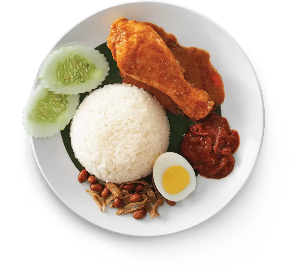 Delicious Nasi Lemak Malaysian Cuisine