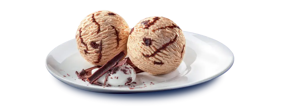 Chocolate Chip Ice Cream Scoops