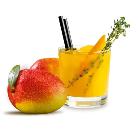 Refreshing Mango Juice with Fresh Mangoes
