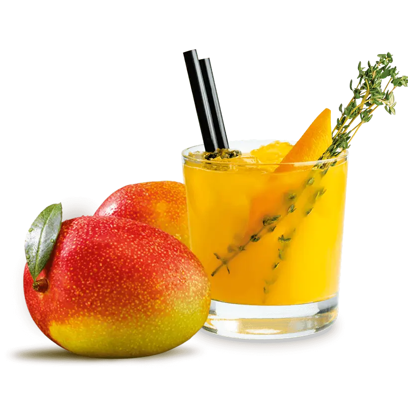 Refreshing Mango Juice with Fresh Mangoes