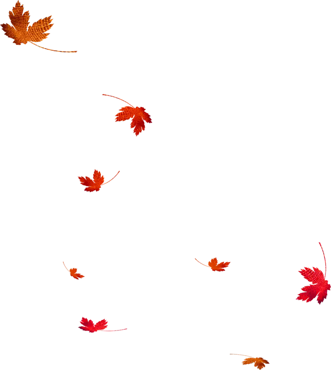 Falling Autumn Leaves with Red Hues