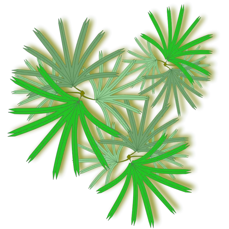 Green Palm Leaves Illustration