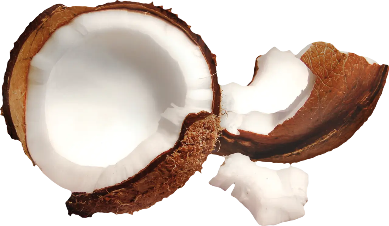 Cracked Coconut Halves with Flesh