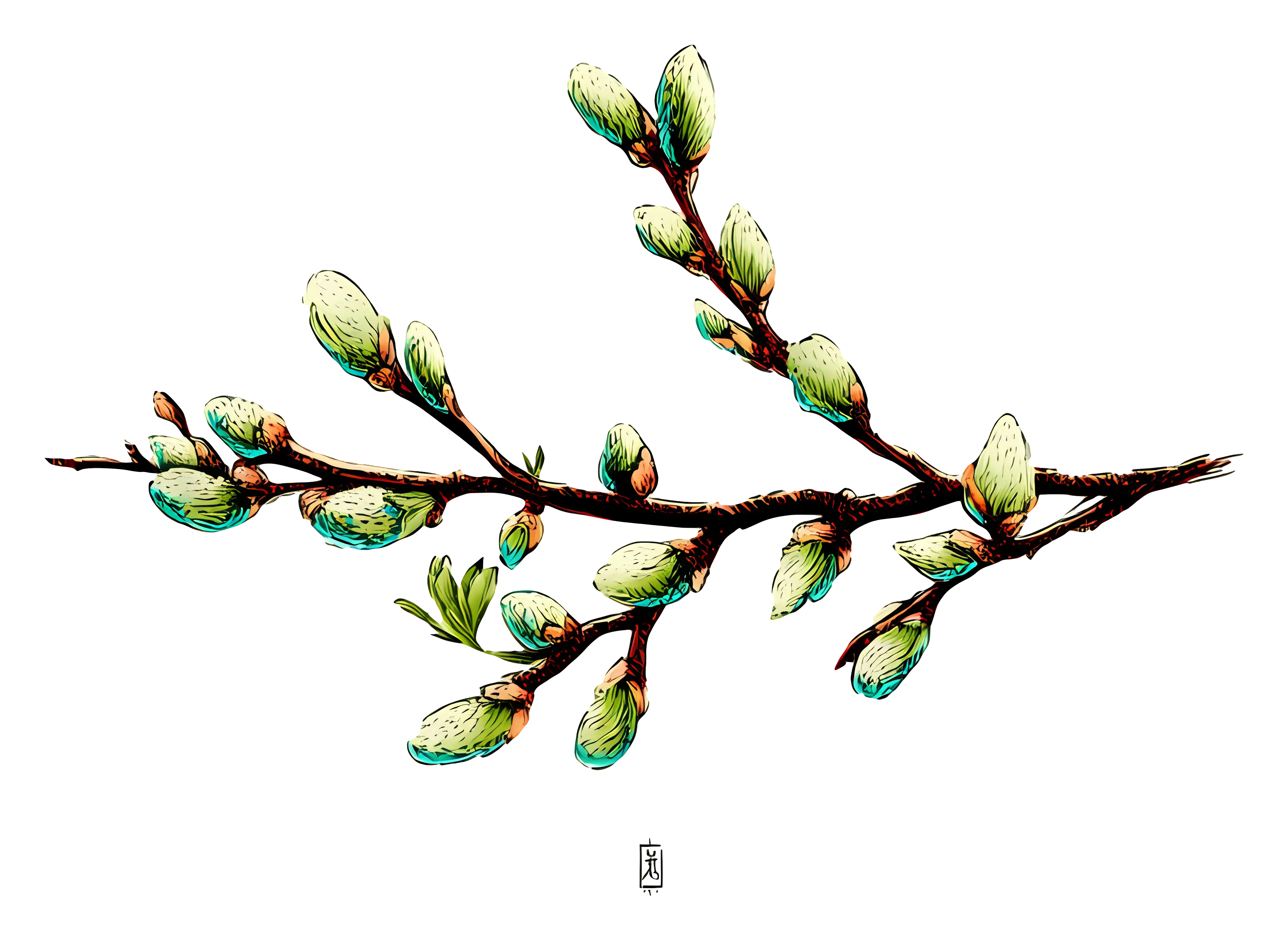 Branch with Buds in Spring