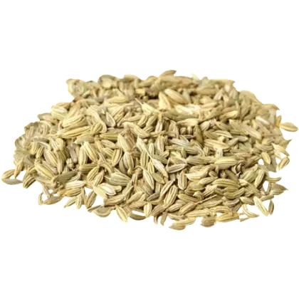 Pile of Fennel Seeds on Transparent Background