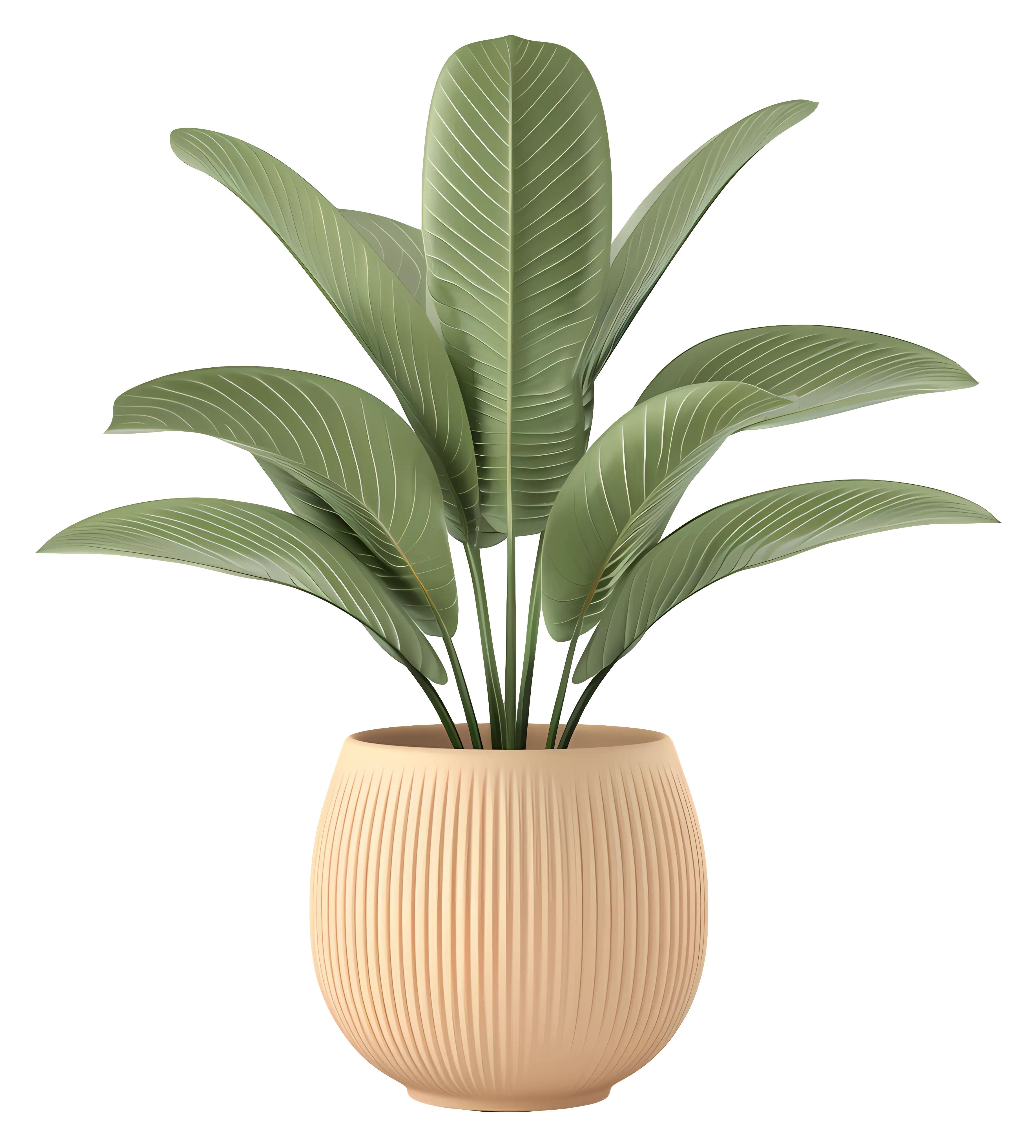 Green Potted Plant in a Stylish Planter