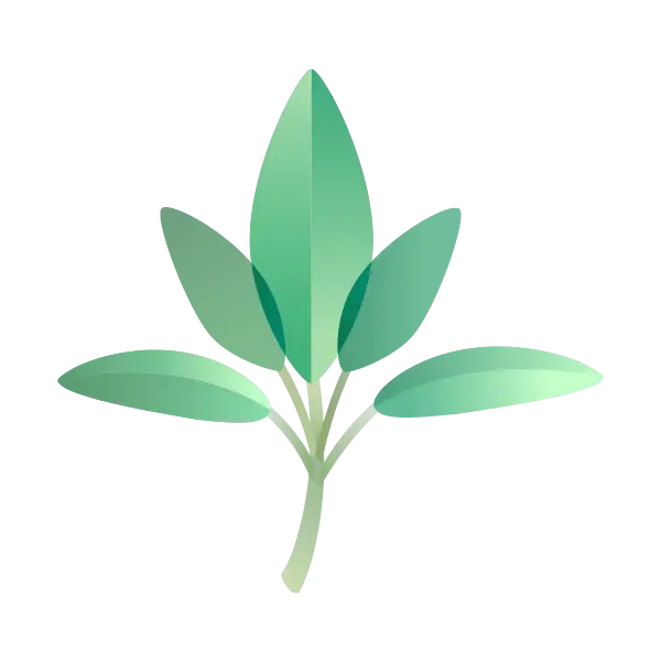 Green Leaf Illustration in Minimalist Style