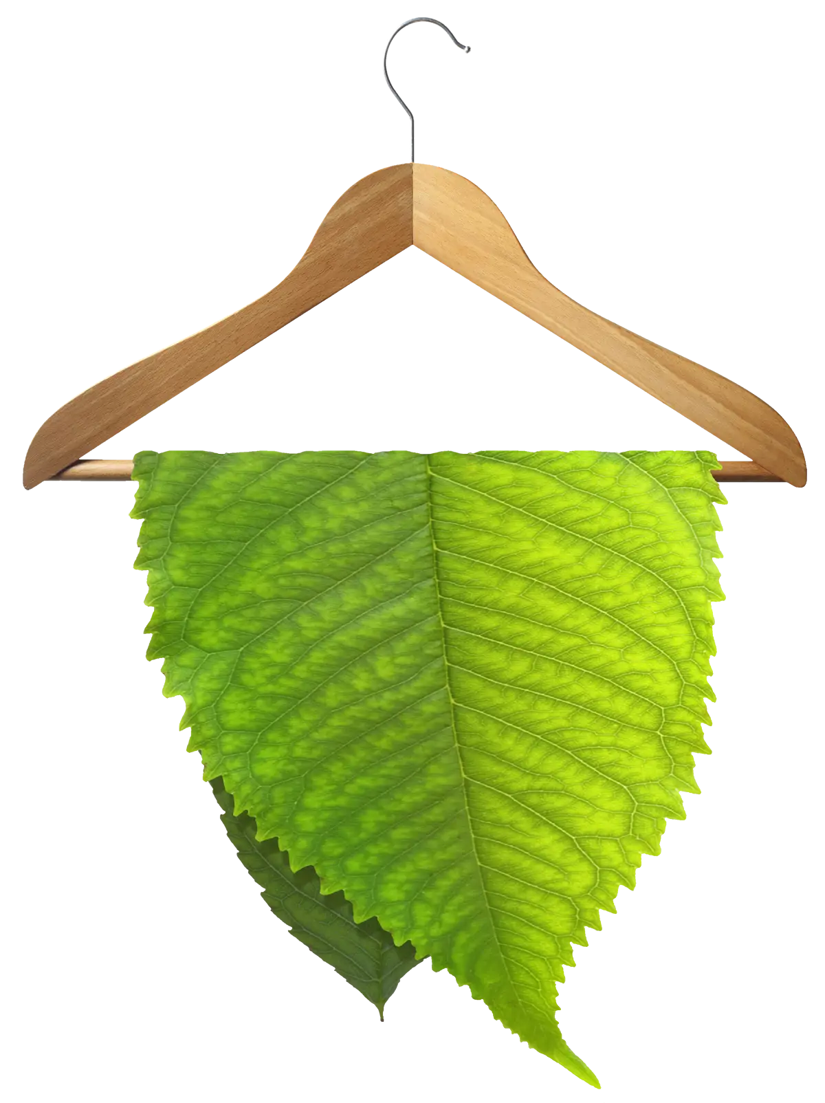 Green Leaf on Wooden Hanger