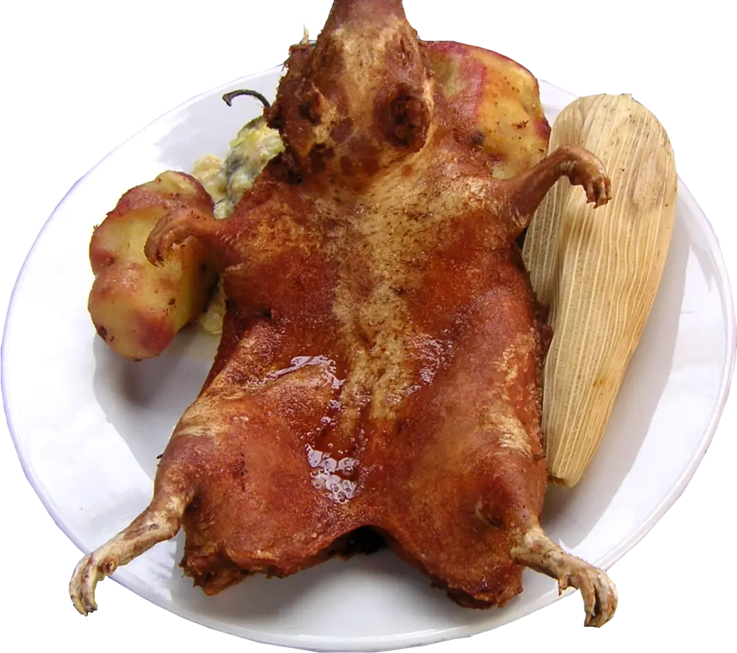 Cooked Guinea Pig Dish