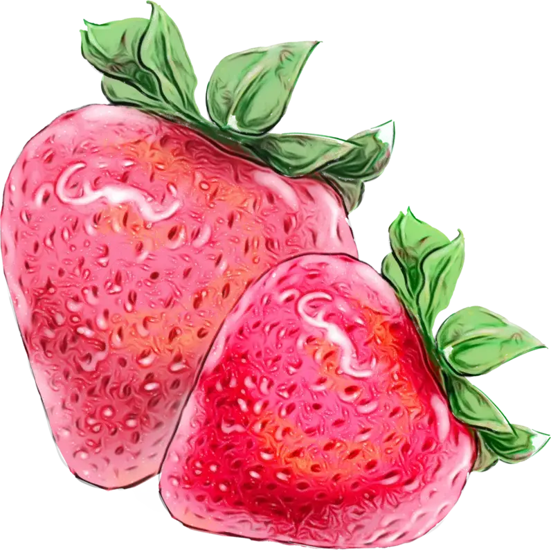 Watercolor Illustration of Two Ripe Strawberries