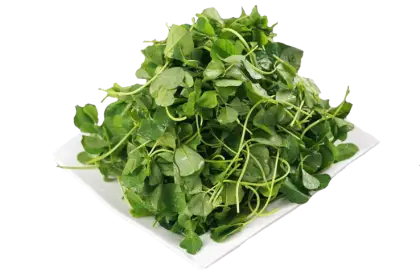 Fresh Green Watercress Leaves
