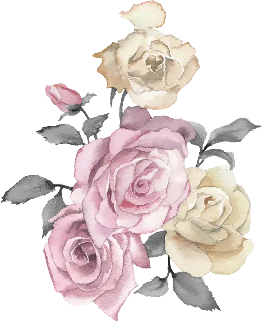 Pink and Beige Roses Artistic Watercolor