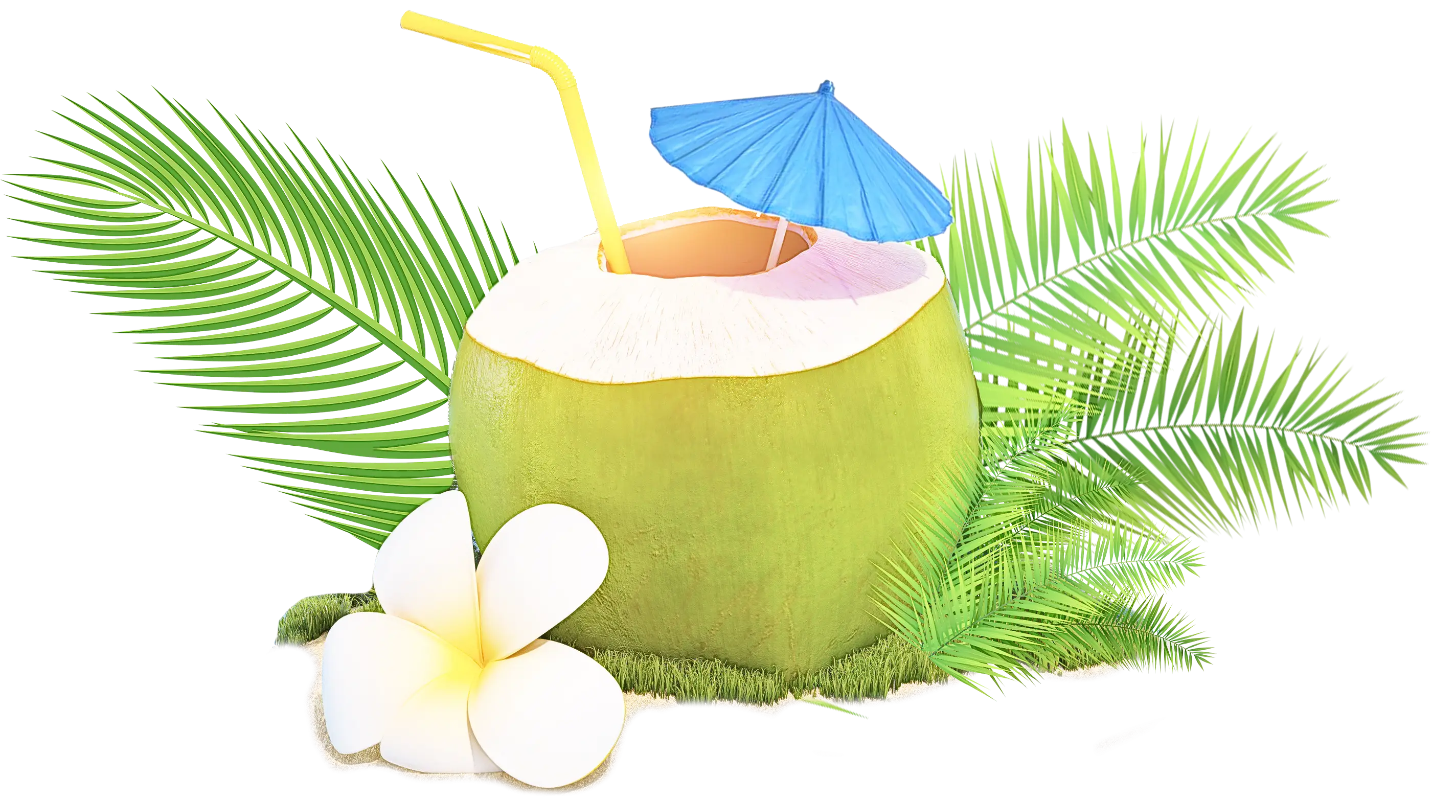Tropical Coconut Drink