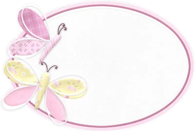 Pink Butterfly with Decorative Frame