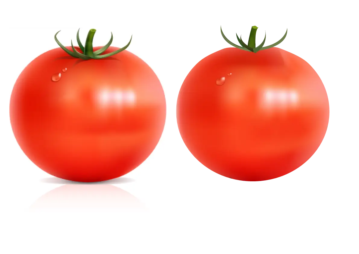 Red Ripe Tomatoes in a Pair