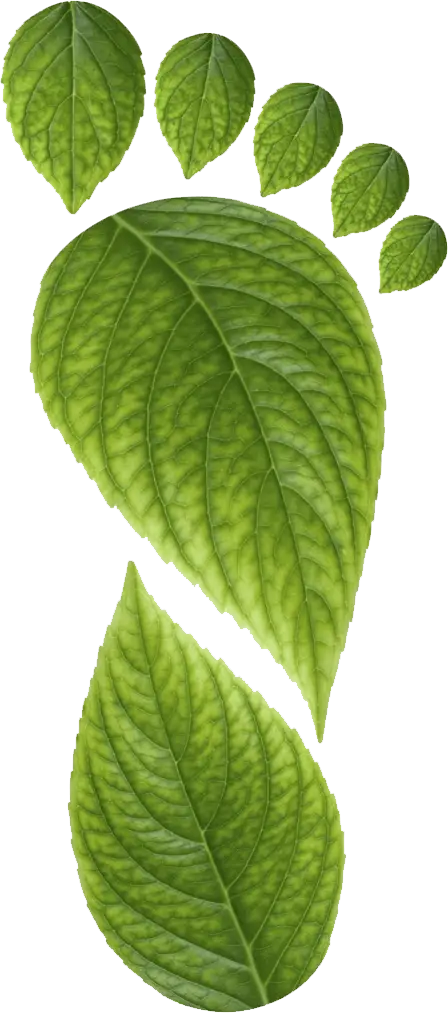 Creative Green Leaf Footprint Design