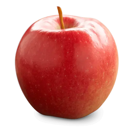 Fresh Red Apple Close-Up