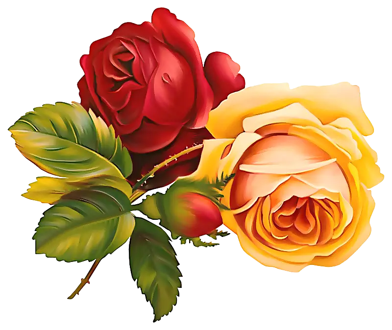 Red and Yellow Roses Decoration