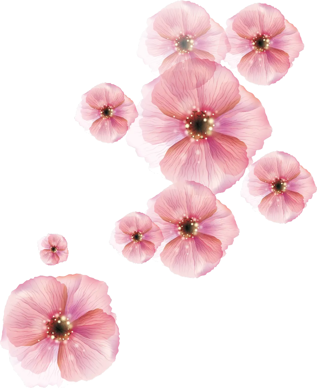 Beautiful Pink Flowers in Bloom