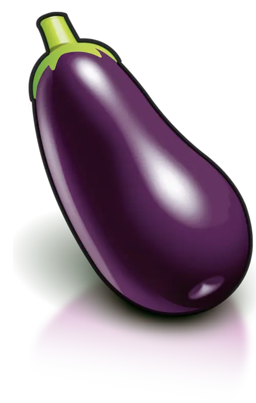 Purple Eggplant Illustration