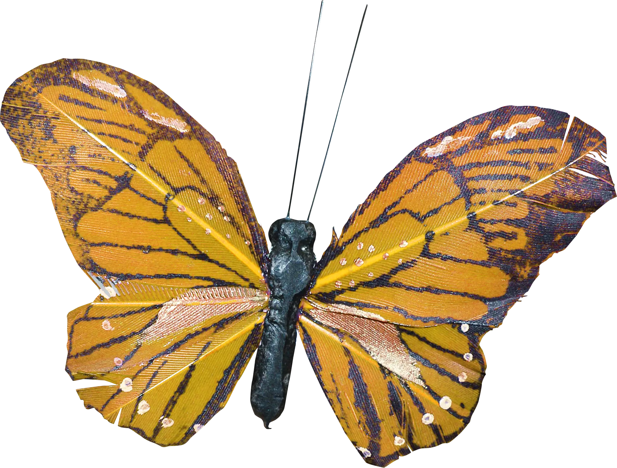 Orange Butterfly with Vibrant Wings Spread Open