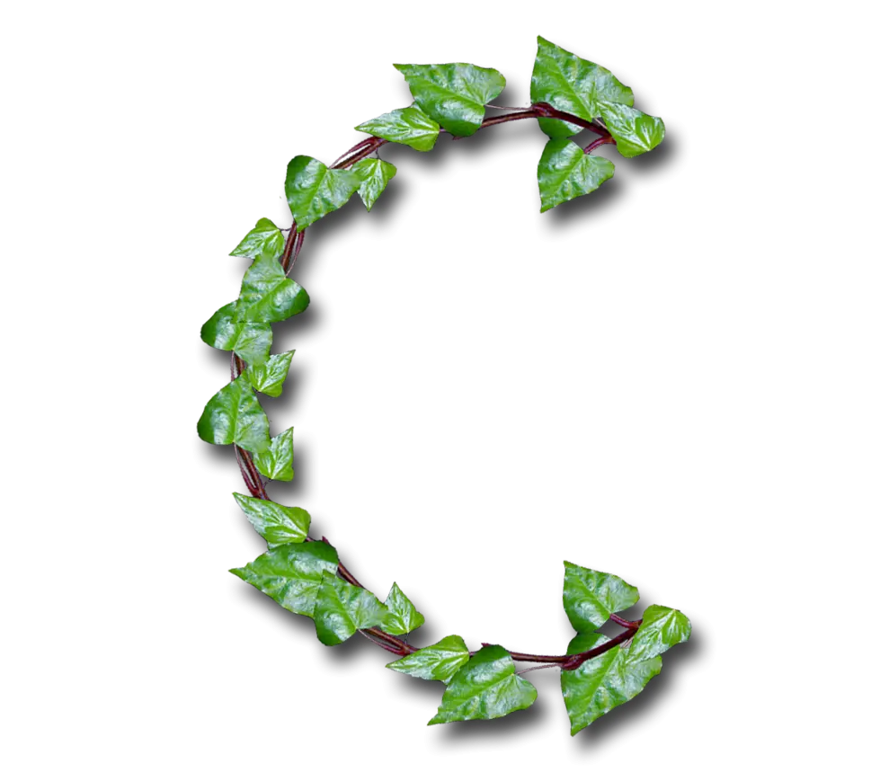 Green Leafy Letter C