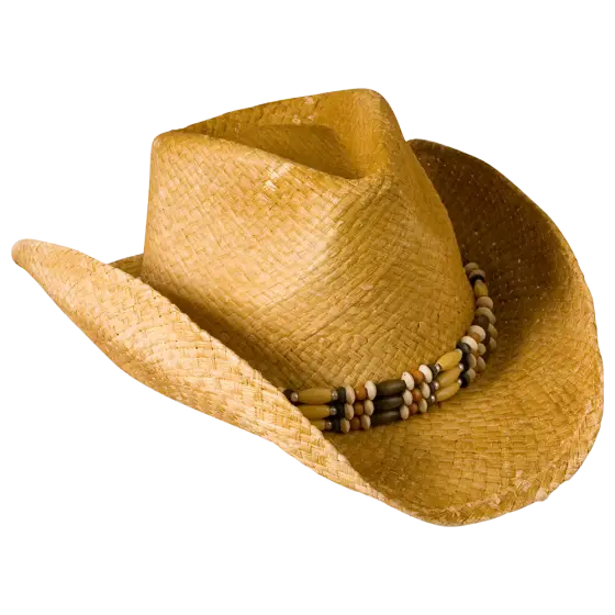 Stylish Straw Cowboy Hat