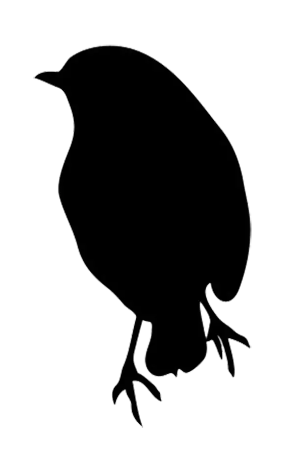 Black Bird Silhouette