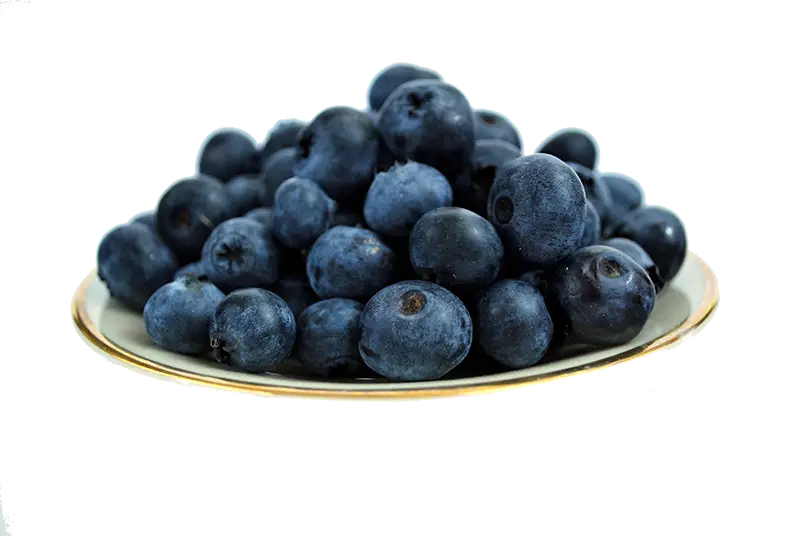 Plate of Fresh Blueberries