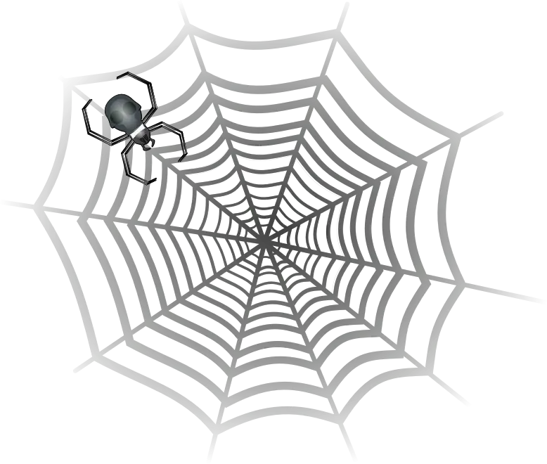 Spider on its Web Illustration