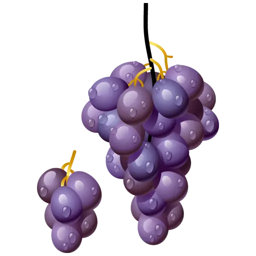 Purple Grape Cluster Illustration