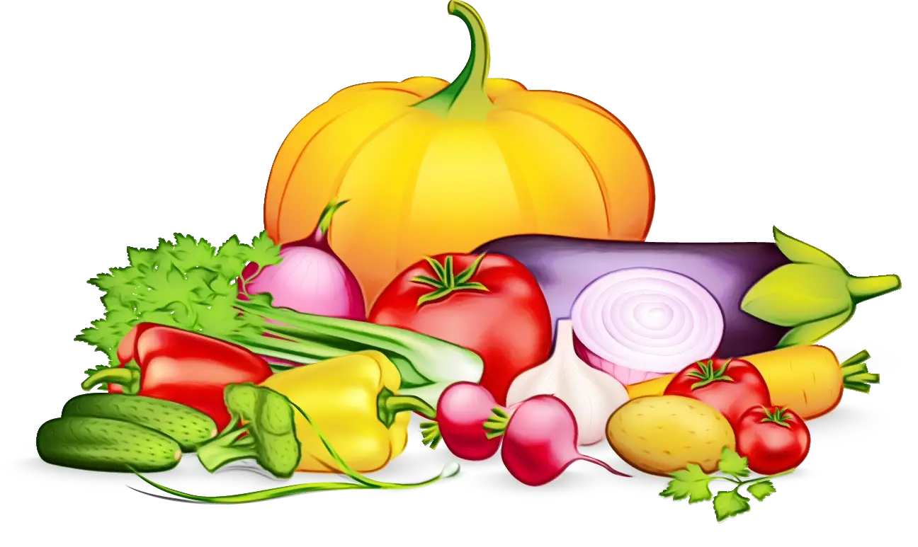 Colorful Mixed Vegetables Illustration