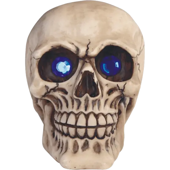 Bone White Skull with Blue Details